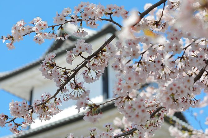 kanazawa-private-half-day-photoshoot-by-professional-photographer