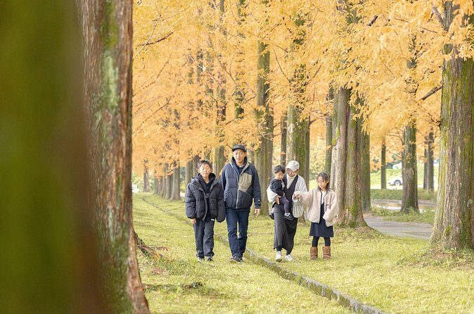 Kanazawa Private Tour with Professional Photographer - Insights from Reviews