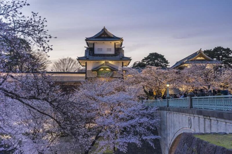 Kanazawa: Taiko Drum Workshop Tour with Sake Brewery Meal - Who Will Love This Tour?