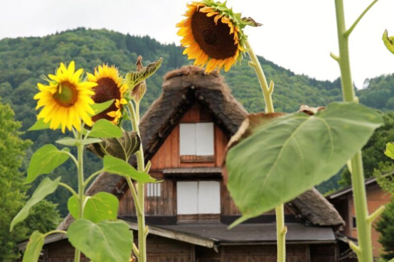 Kanazawa to Shirakawago: Half-Day Tour - The Itinerary: What You Can Expect