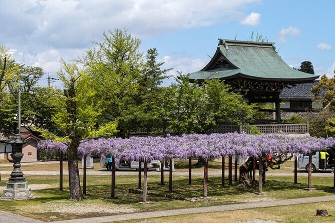 Kanazawa Tonami Tulips and UNESCO Gokayama - Who Will Love This Tour?