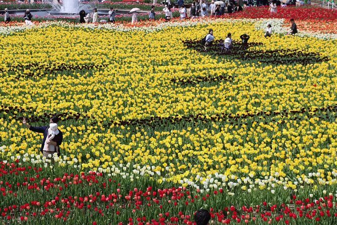 Kanazawa Tonami Tulips and UNESCO Gokayama - FAQ