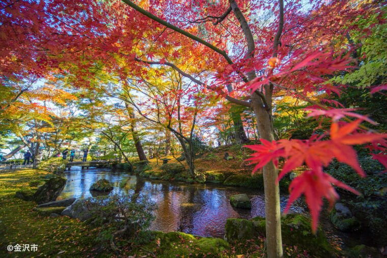 kanazawa-world-heritage-shirakawa-go-two-local-experience