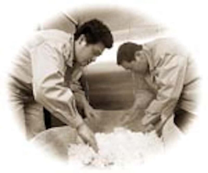 Kanazawa : Yachiya Shuzo Sake Brewery Tour and Tasting - The Tasting Experience