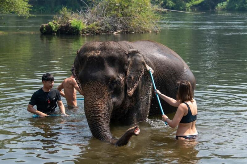 Kanchanaburi: Elephant Sanctuary & Erawan Waterfall Tour - A Practical Breakdown of the Day