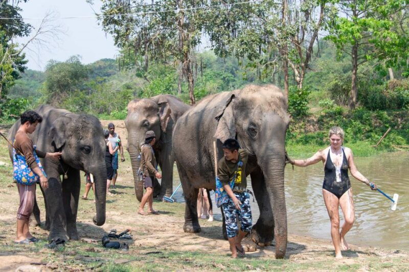 kanchanaburi-elephant-sanctuary-erawan-waterfall-tour