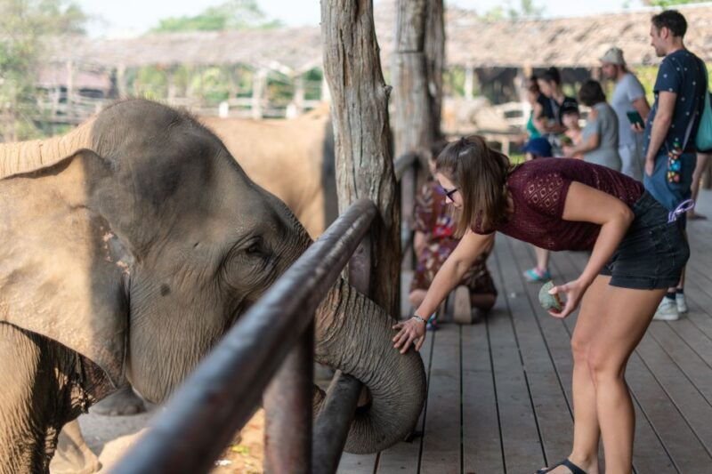 kanchanaburi-elephant-sanctuary-erawan-waterfall-tour