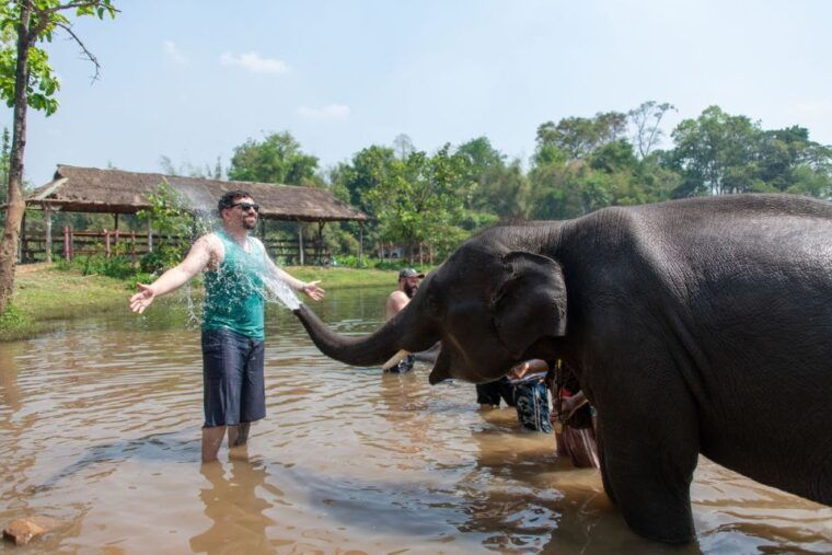 kanchanaburi-elephant-sanctuary-erawan-waterfall-tour
