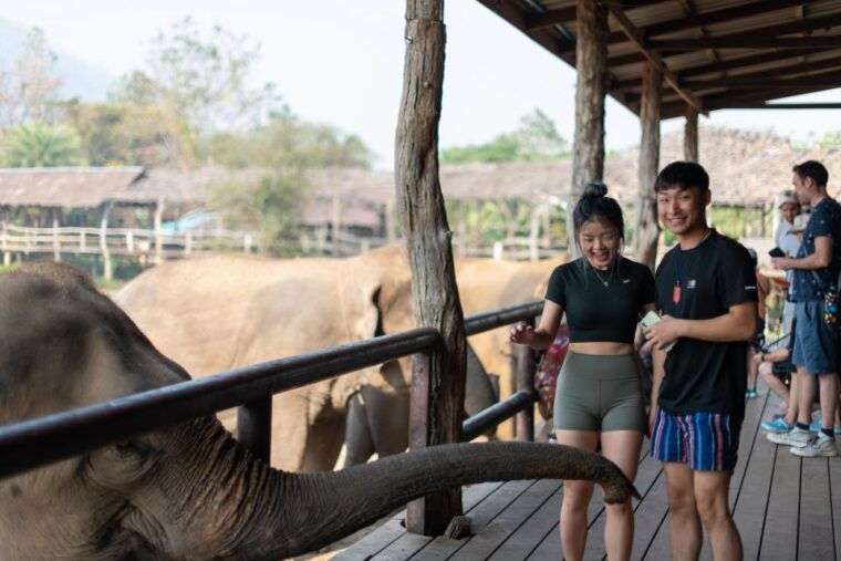 kanchanaburi-elephant-sanctuary-erawan-waterfall-tour