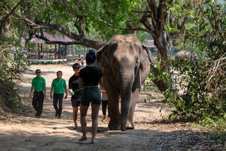 kanchanaburi-elephant-sanctuary-erawan-waterfall-tour