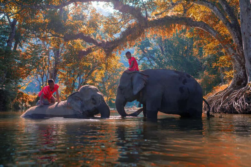 Kanchanaburi Private Charter from Bangkok | Thailand - Exploring the Waterfalls: Erawan and Sai Yok Noi