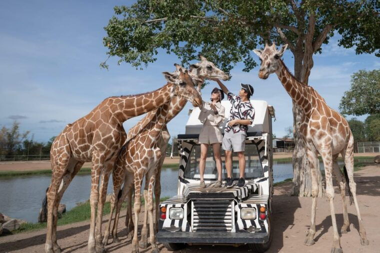 kanchanaburi-private-charter-from-bangkok-thailand