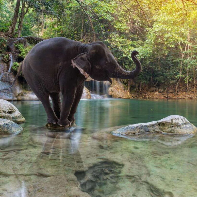 kanchanaburi-river-kwai-erawan-falls-and-elephant-tour