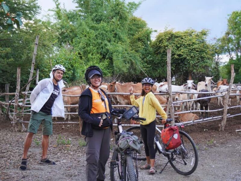 Kanchanaburi Sunset Ride with History and Homestyle Dinner - Practical Details and Tips