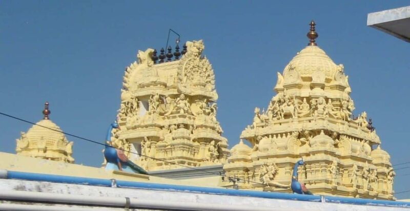 Kanchipuram in a Day: Complete Temple & Silk Tour - Who Will Enjoy This Tour Most?