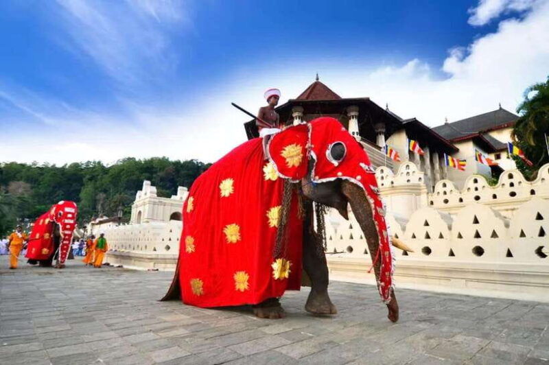 kandy-2-day-tour-kandy-ambuluwawa-tower-with-accommodation
