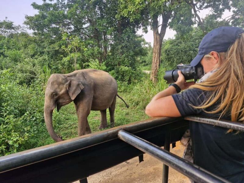 Kandy: 4-Day Sri Lanka Full Circle Private Tour To Colombo - Key Points