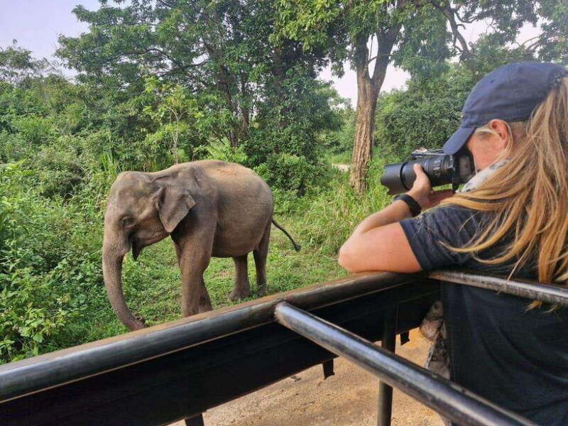 kandy-4-day-sri-lanka-full-circle-private-tour-to-colombo