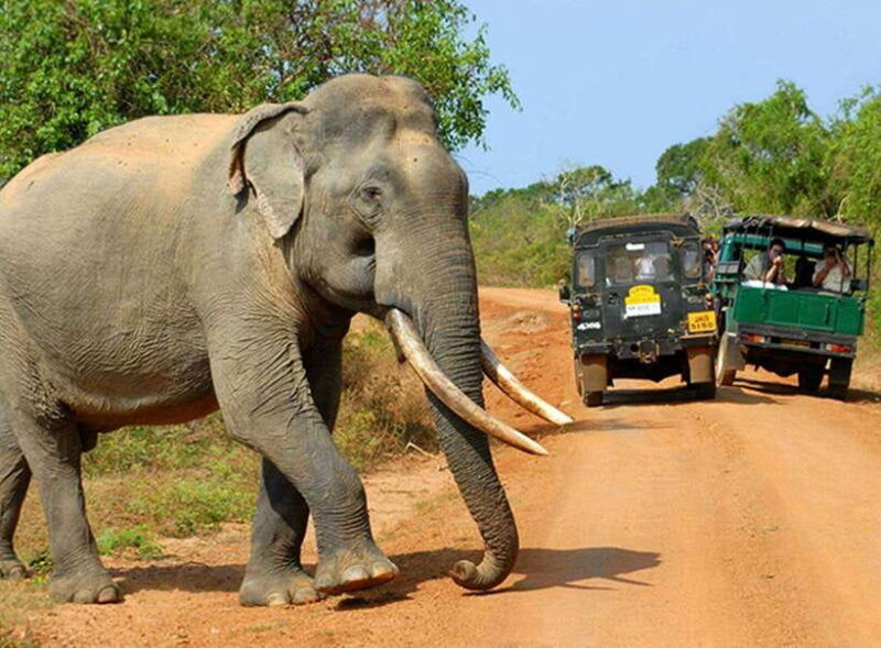 kandy-4-day-sri-lanka-full-circle-private-tour-to-colombo