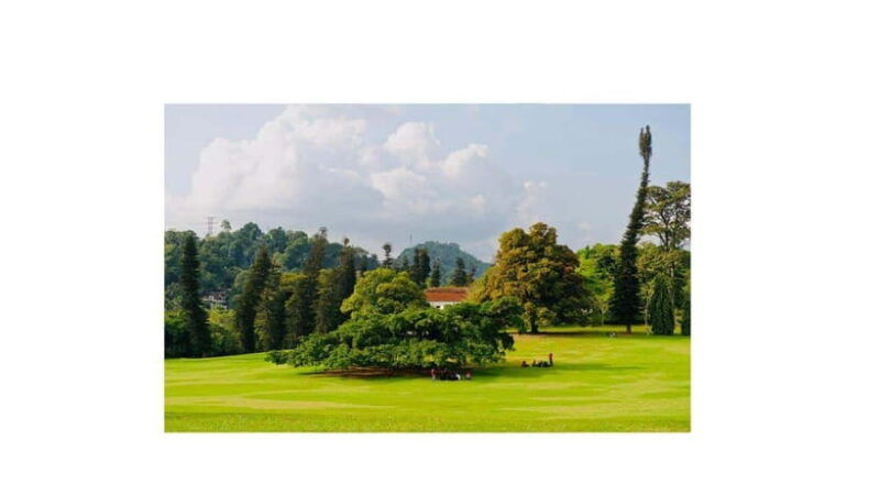 kandy-all-inclusive-city-tour-by-tuk-tuk
