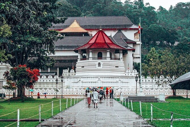 Kandy All Inclusive Day Tour from Colombo - Key Points