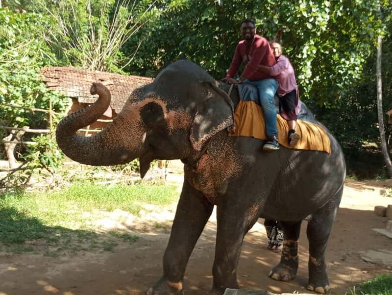 Kandy: Ambuluwawa, Pinnawala & Tea Factory by Tuk Tuk - FAQ