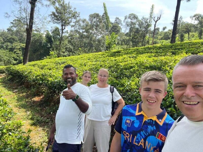 Kandy: Ambuluwawa Tower, Ramboda Falls & Tea Factory Tour - An In-Depth Look at the Tour