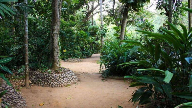kandy-and-pinnawala-a-perfect-1-day-tour-experience