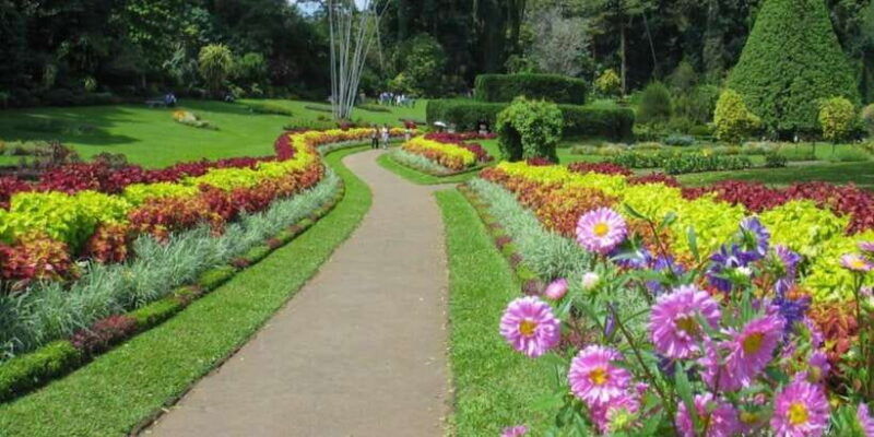 kandy-and-pinnawala-private-day-trip-from-colombo-harbor