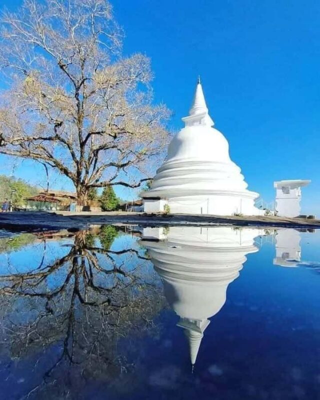 Kandy: Carvings, Stone Temples & Sacred Rituals Day Tour - Exploring Kandy’s Sacred Secrets: Carvings, Stone Temples & Rituals Tour Review