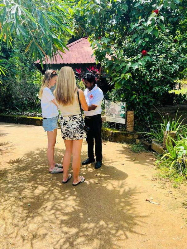 kandy-city-day-tour-from-colombo-negombo-or-katunayake