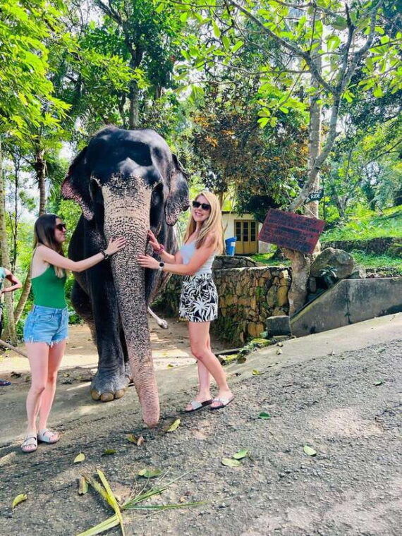 kandy-city-day-tour-from-colombo-negombo-or-katunayake