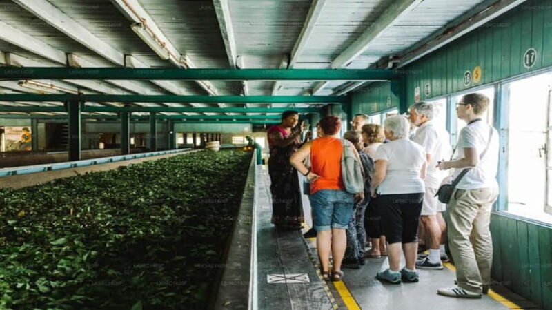 Kandy City Private Guide Tour by Tuk Tuk - Exploring Kandy in a Tuk-Tuk: A Unique, Personal Tour