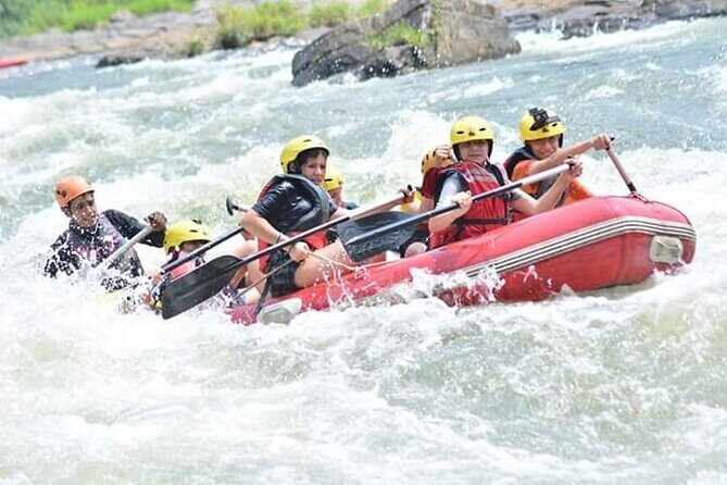 Kandy City Private Tour - Key Points