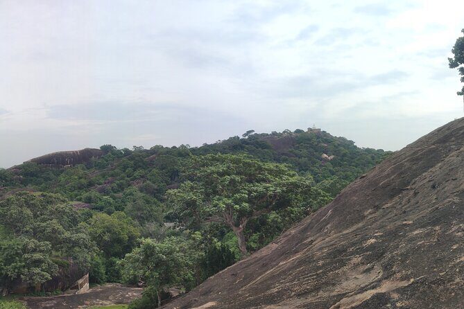 Kandy City Private Tour - Who This Tour Is Best For