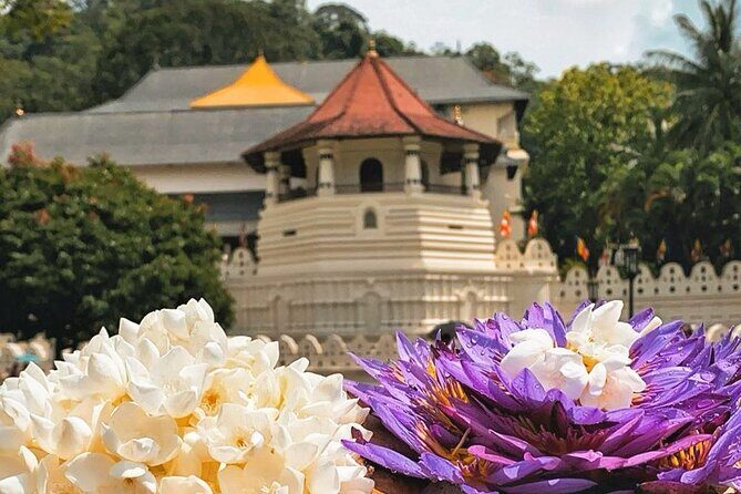 Kandy City Sightseeing and Ambuluwawa Tower by Tuk Tuk Tour - Final Thoughts