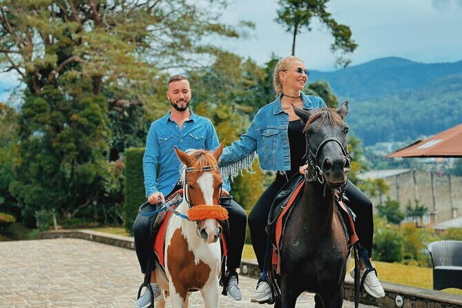 Kandy City Tour - The Sum Up