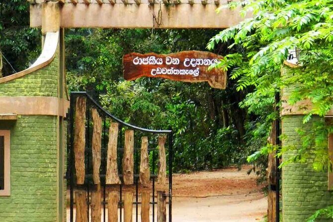 Kandy City Tour - Final Thoughts