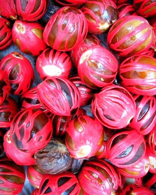 Kandy city tour and village tour in one day - FAQ