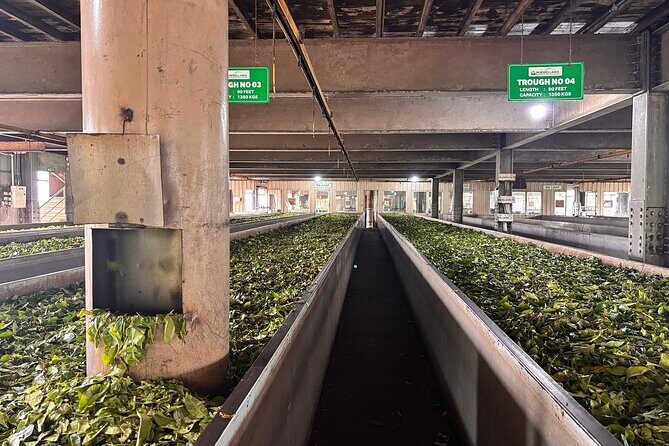 Kandy City Tour By Best Guide Lanka Tours - Who Would Love This Tour?