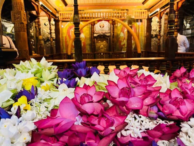 Kandy City Tour :Cover 13+ Places Within a Single Day - Who Will Love This Tour?