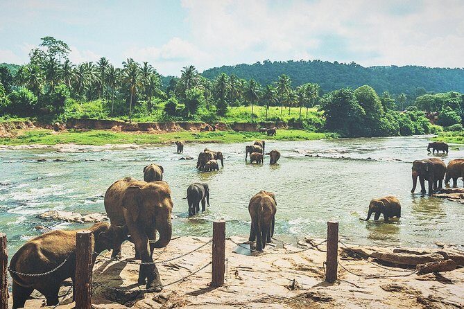 Kandy city tour for couple price - In-Depth Breakdown of the Itinerary