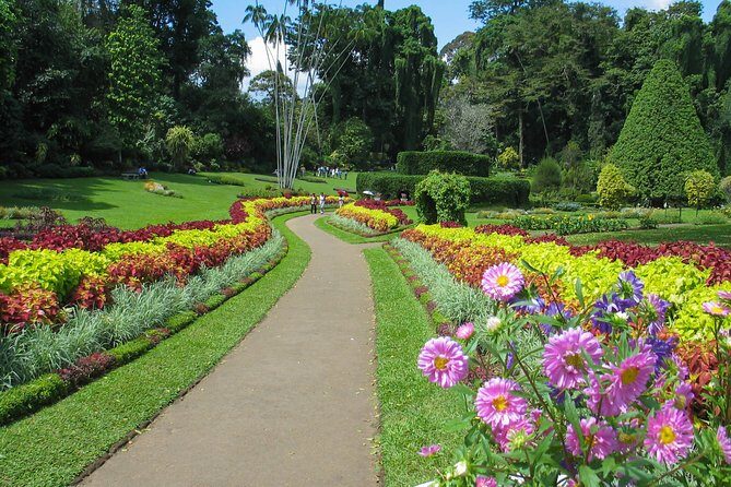 Kandy City Tour from Bentota - What to Expect from Each Stop