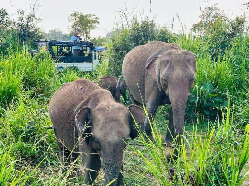kandy-city-tour-from-colombo-or-negombo-or-katunayaka