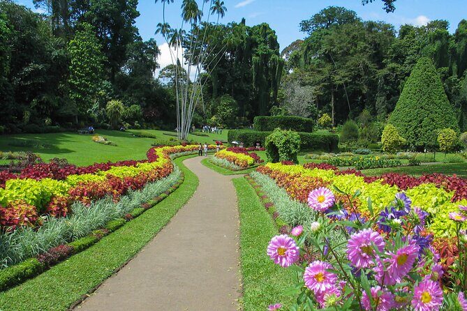 Kandy City Tour from Sigiriya - Final Thoughts: Is It Worth It?