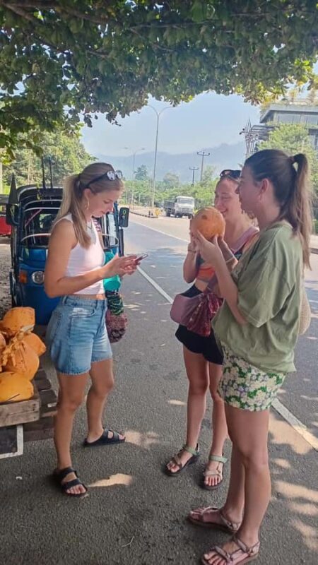 Kandy: City Tour with Sigiriya and Nuwara Eliya by Tuk-Tuk - An Intimate Journey Through Kandy, Sigiriya, and Nuwara Eliya