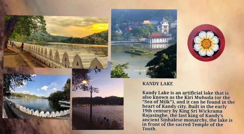Kandy: City Tour with Temple of the Tooth & Tea Garden - A Complete Guide to the Kandy City Tour