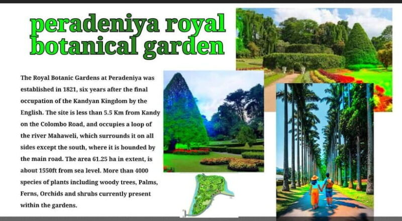 Kandy: City Tour with Temple of the Tooth & Tea Garden - Who Should Book This Tour?