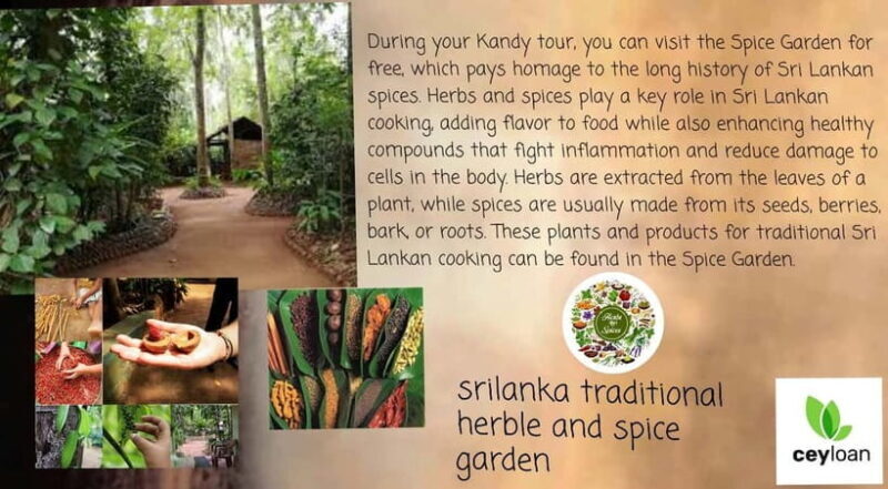 Kandy: City Tour with Temple of the Tooth & Tea Garden - FAQs