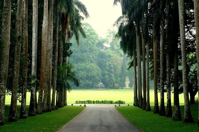 Kandy Day Tour - FAQ